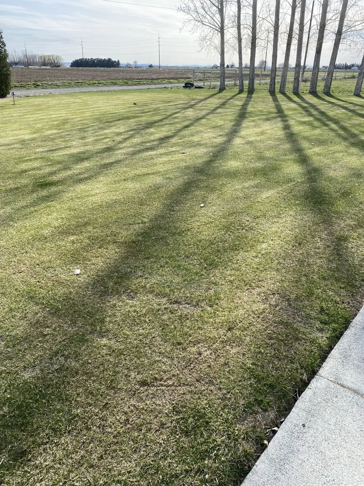 Professional outdoor landscaping for outdoor upgrades across Moses Lake, WA - Ron’s Lawns
