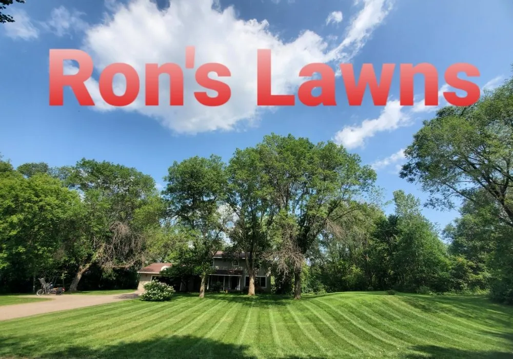 Reliable landscaping services in Saint Paul, MN - Ron's Lawns