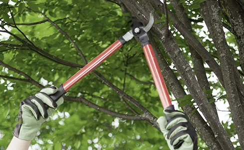 Trusted lawn mowing service in Topeka, KS - Ron's Tree & Lawn Service