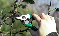 Expert landscape design for year-round maintenance in Topeka, KS by Ron's Tree & Lawn Service