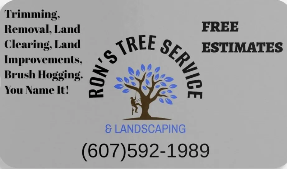 Trusted yard maintenance in Richford, NY - Rons Tree Service & Landscaping