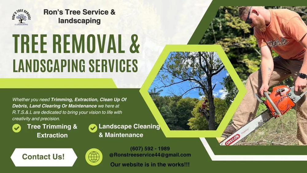 Expert yard maintenance in Richford, NY - Rons Tree Service & Landscaping