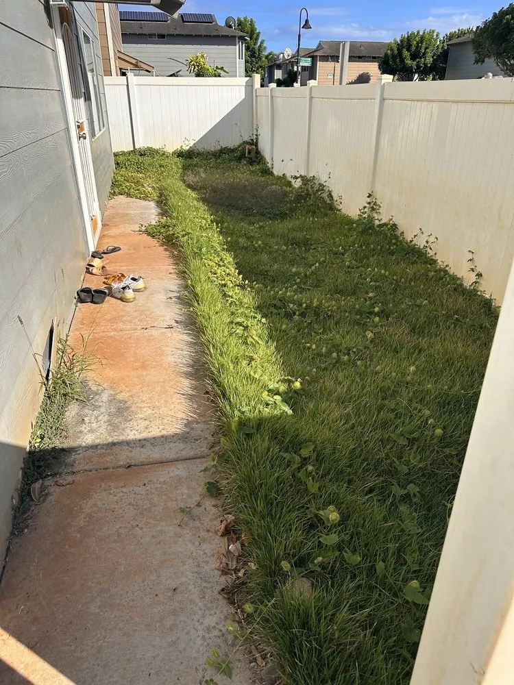 Custom yard maintenance experts serving Pearl City, HI - Ron’s Yard Service