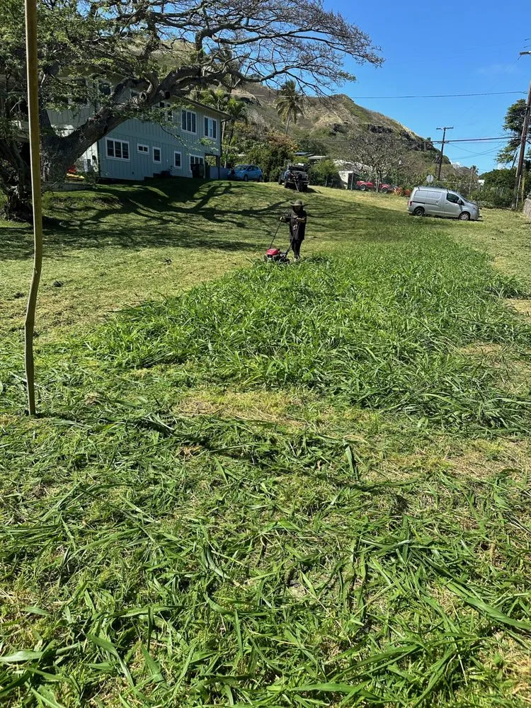 Expert landscape design for year-round maintenance across Pearl City, HI - Ron’s Yard Service