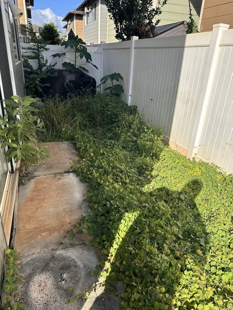 Expert yard cleanup service for outdoor upgrades across Pearl City, HI - Ron’s Yard Service