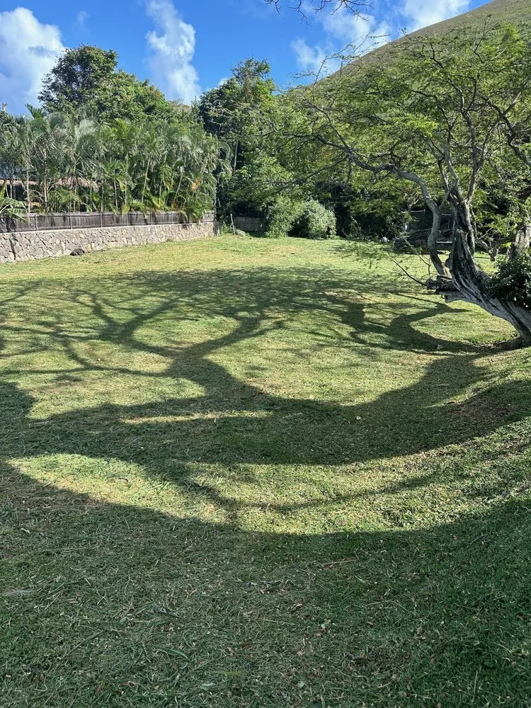 Local landscape installation for outdoor upgrades in Pearl City, HI by Ron’s Yard Service