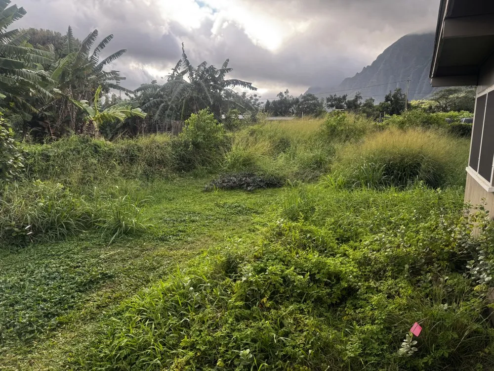Trusted outdoor landscaping for beautiful yards in Pearl City, HI by Ron’s Yard Service