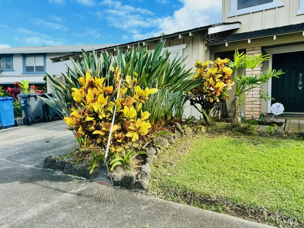 Affordable lawn mowing service experts serving Pearl City, HI - Ron’s Yard Service