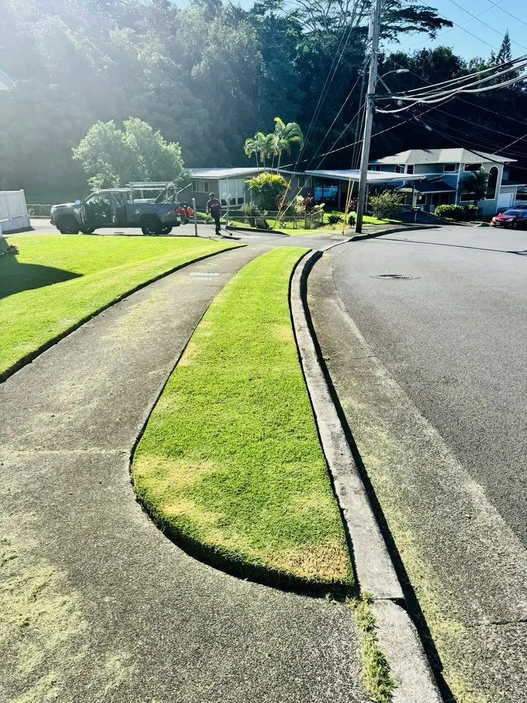 Local yard cleanup service in Pearl City, HI by Ron’s Yard Service
