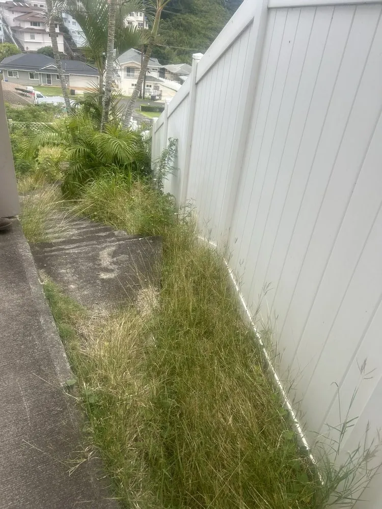 Professional lawn care service for residential properties in Pearl City, HI by Ron’s Yard Service