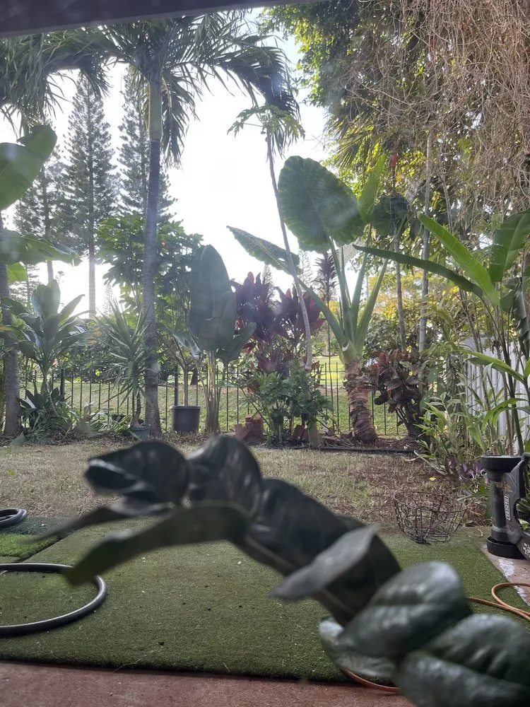 Local lawn mowing service experts serving Pearl City, HI - Ron’s Yard Service