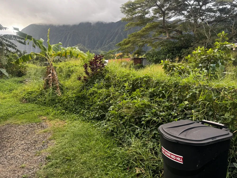 Professional yard cleanup service experts serving Pearl City, HI - Ron’s Yard Service