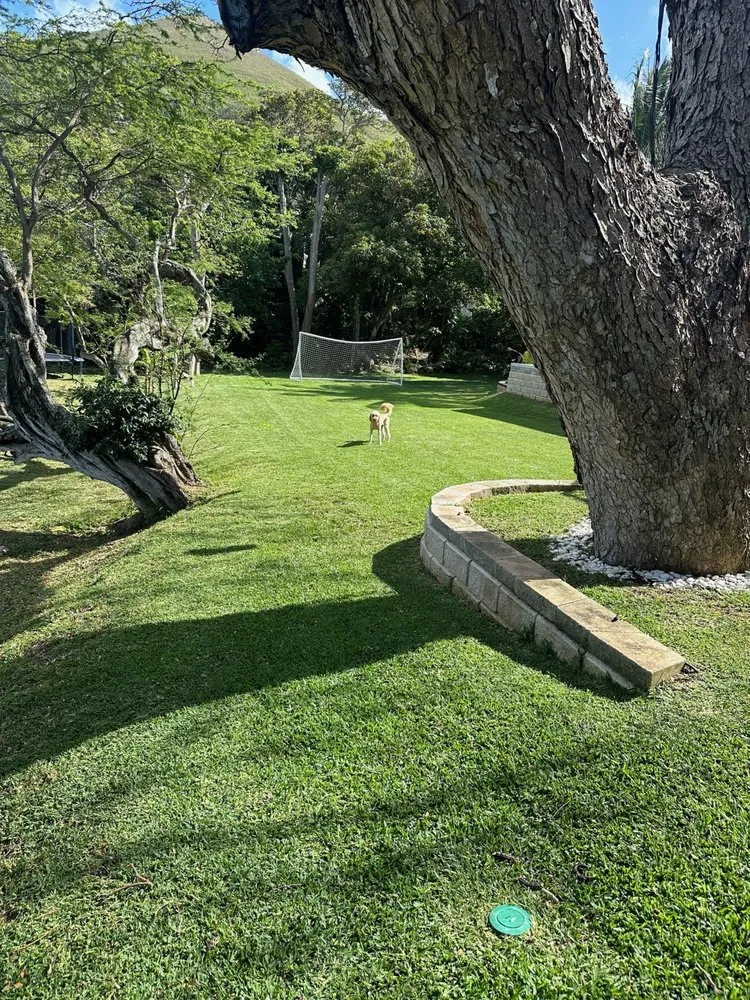 Local lawn mowing service near you across Pearl City, HI - Ron’s Yard Service