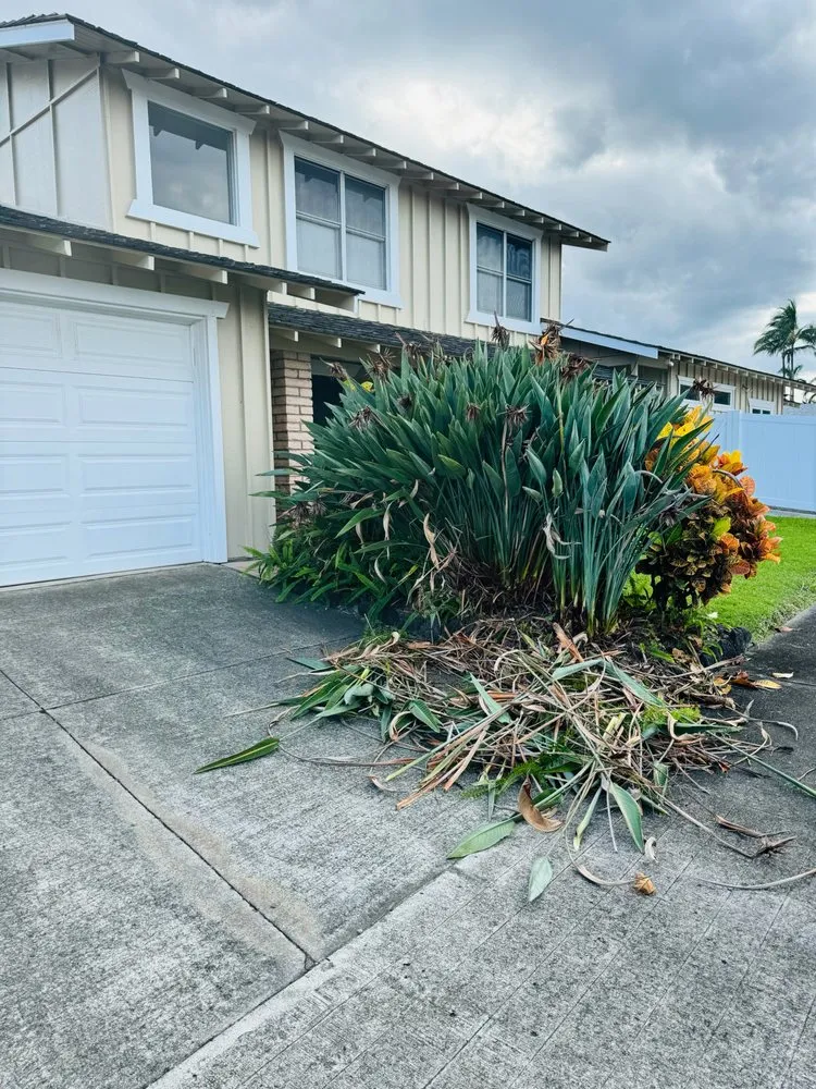 Local lawn care service in Pearl City, HI - Ron’s Yard Service