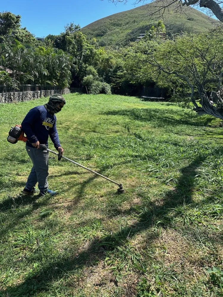 Local landscaping services in Pearl City, HI - Ron’s Yard Service