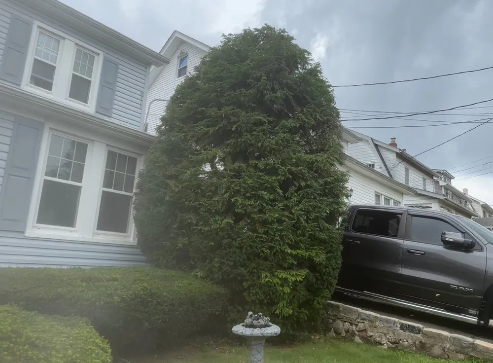 Custom yard cleanup service for year-round maintenance in Plainfield, NJ by Rony Bonilla Landscaping & Lawn care