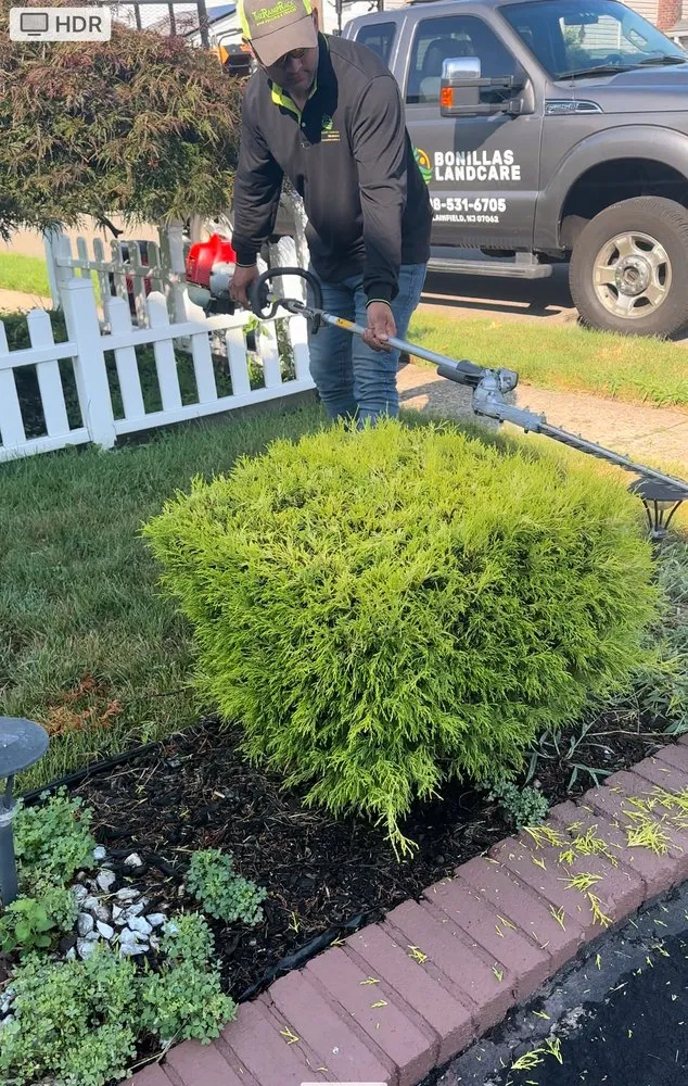Top-rated yard cleanup service in Plainfield, NJ - Rony Bonilla Landscaping & Lawn care