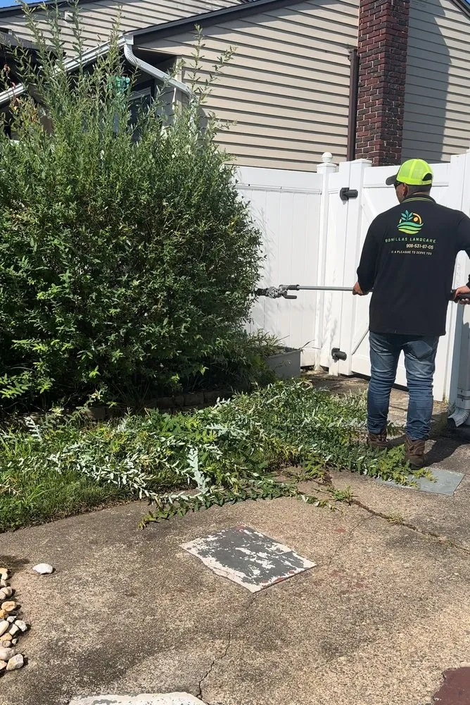 Custom yard maintenance experts serving Plainfield, NJ - Rony Bonilla Landscaping & Lawn care