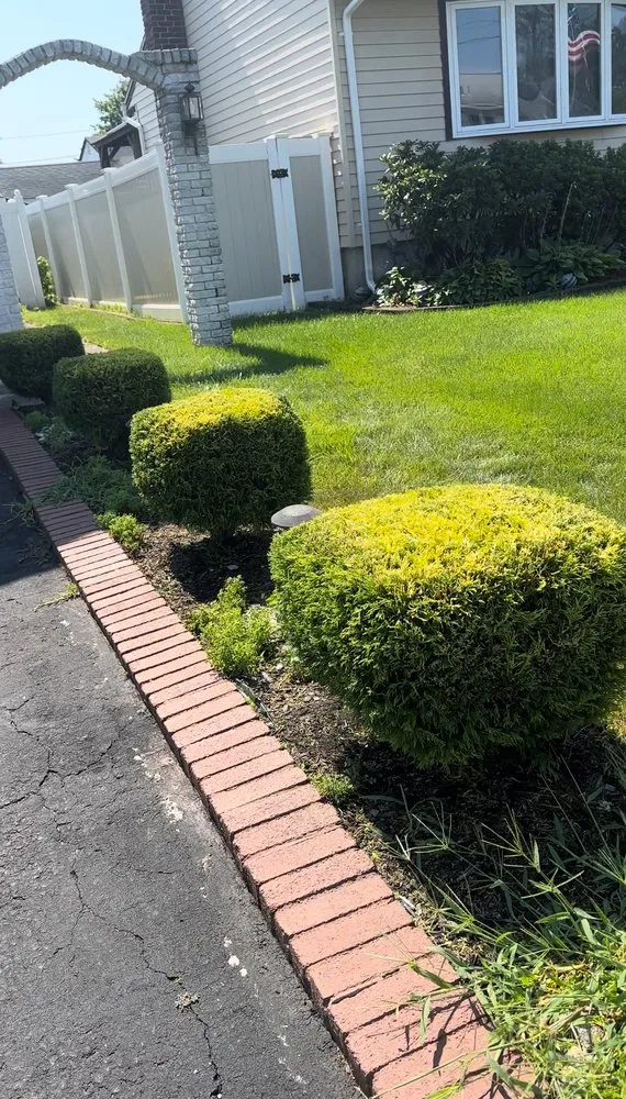 Affordable yard cleanup service in Plainfield, NJ by Rony Bonilla Landscaping & Lawn care