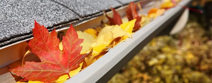 Custom landscape design experts serving Plainfield, NJ - Rony Bonilla Landscaping & Lawn care