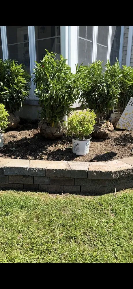 Local garden landscaping in Plainfield, NJ by Rony Bonilla Landscaping & Lawn care