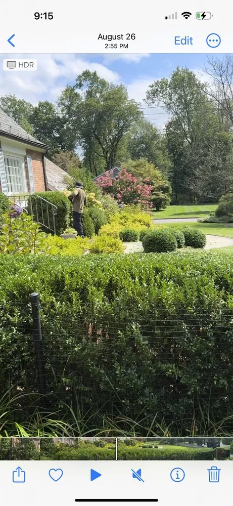 Top-rated yard cleanup service experts serving Plainfield, NJ - Rony Bonilla Landscaping & Lawn care