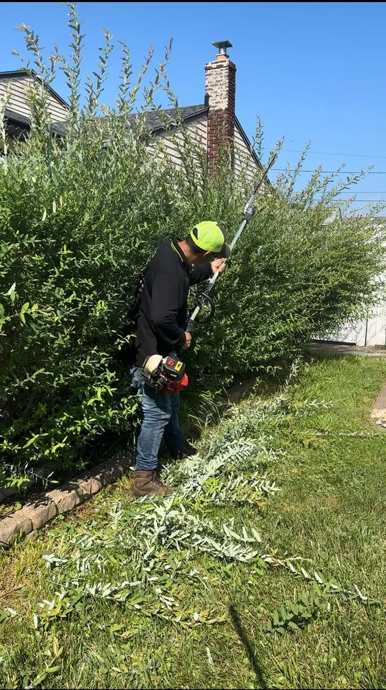 Expert landscape installation experts serving Plainfield, NJ - Rony Bonilla Landscaping & Lawn care