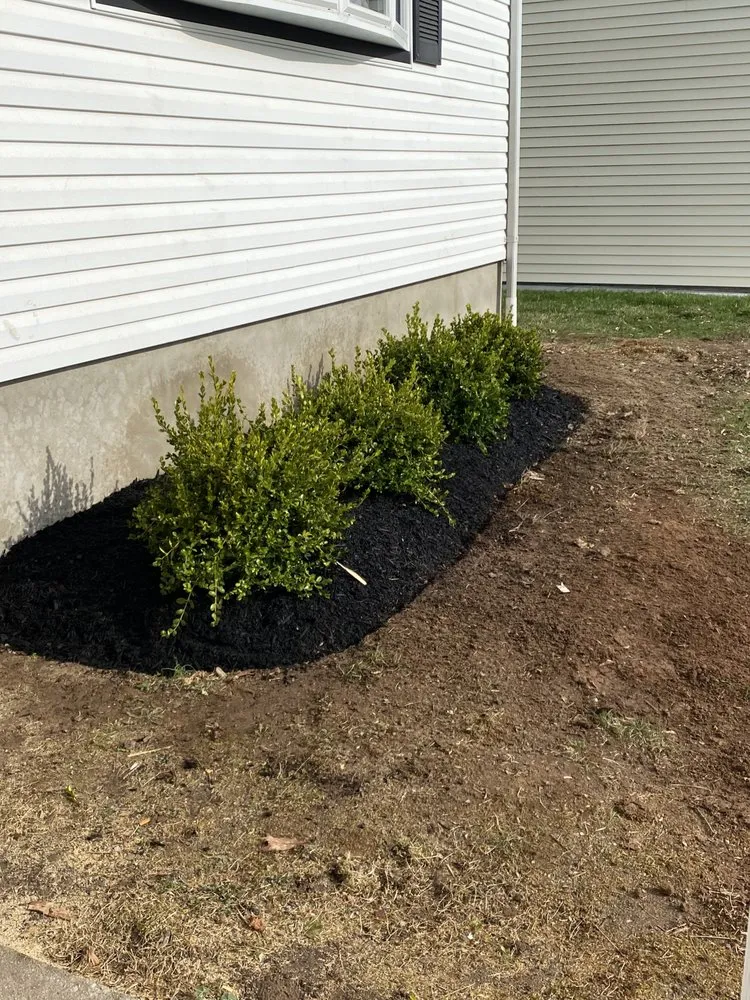 Trusted outdoor landscaping experts serving Plainfield, NJ - Rony Bonilla Landscaping & Lawn care