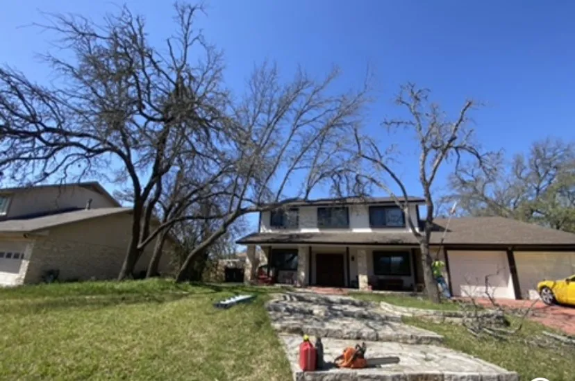 Local residential landscaping experts serving Austin, TX - Rony Landscaping