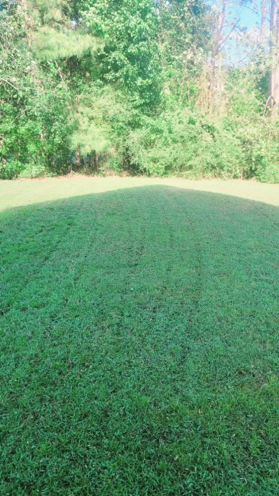 Local lawn care service experts serving Hampton, GA - Rony Lawn Care