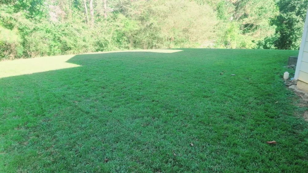 Professional landscape design for residential properties in Hampton, GA by Rony Lawn Care