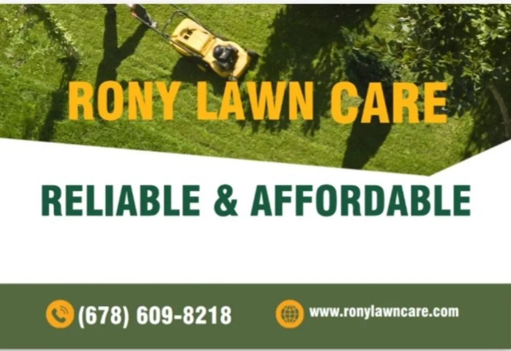 Professional outdoor landscaping in Hampton, GA - Rony Lawn Care
