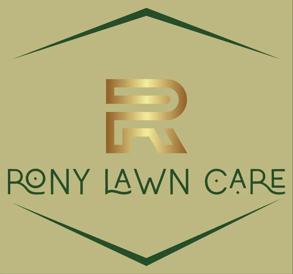 Affordable yard maintenance with custom design across Hampton, GA - Rony Lawn Care