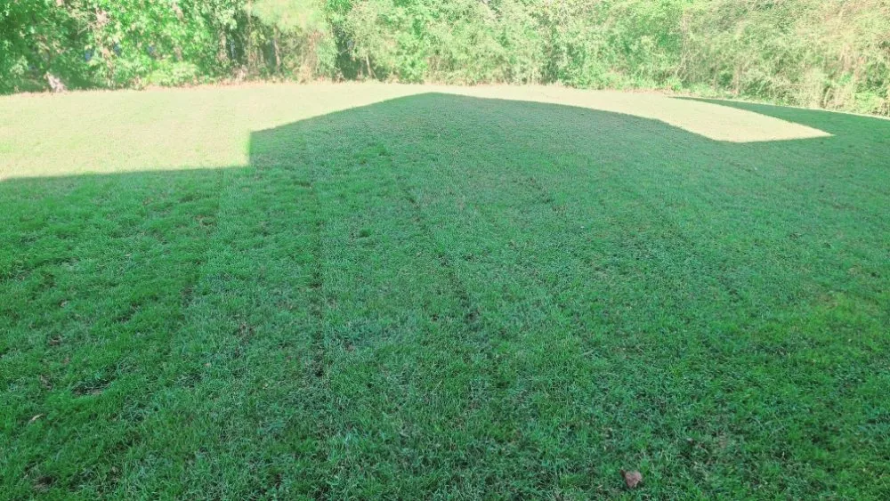 Top-rated outdoor landscaping for beautiful yards in Hampton, GA by Rony Lawn Care