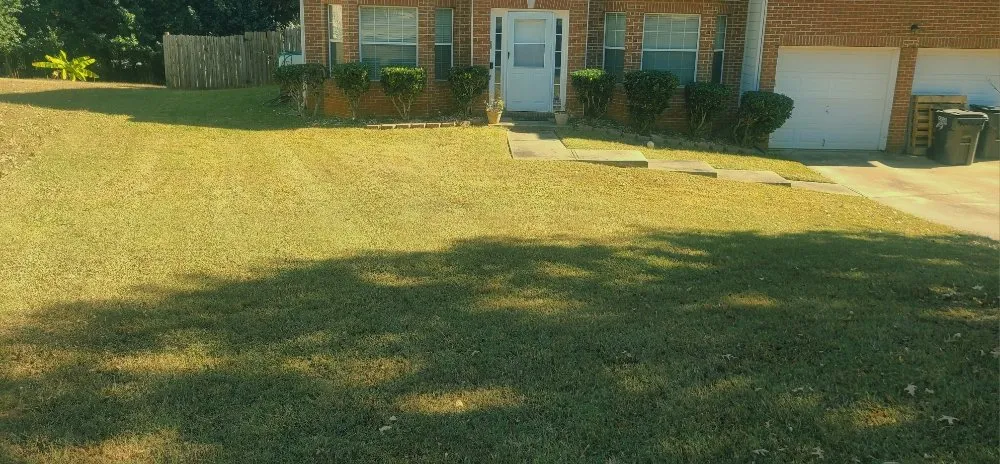 Trusted lawn care service in Hampton, GA - Rony Lawn Care