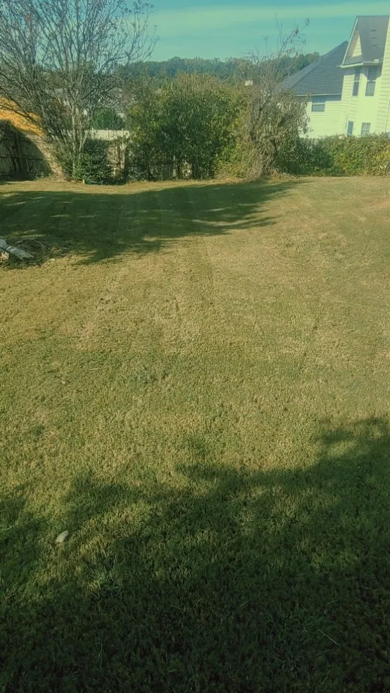 Professional garden landscaping experts serving Hampton, GA - Rony Lawn Care