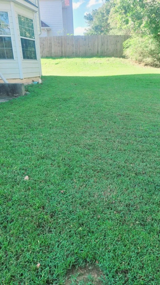 Reliable yard maintenance with custom design across Hampton, GA - Rony Lawn Care