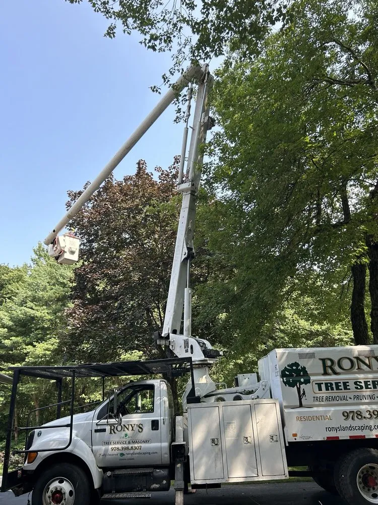 Local outdoor landscaping experts serving Lynn, MA - Rony's Landscaping