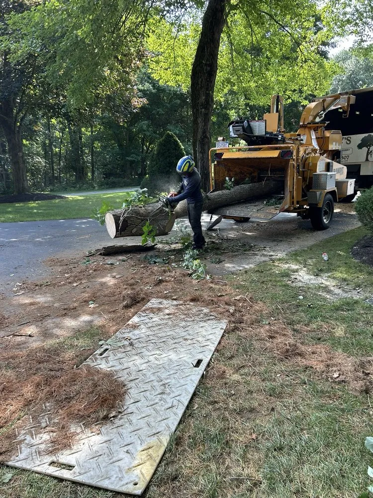 Top-rated yard maintenance in Lynn, MA by Rony's Landscaping