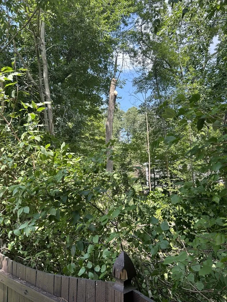 Reliable landscaping services experts serving Lynn, MA - Rony's Landscaping