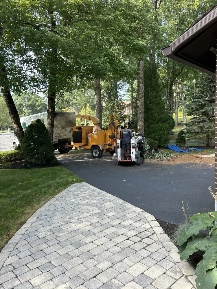 Professional yard cleanup service with custom design across Lynn, MA - Rony's Landscaping