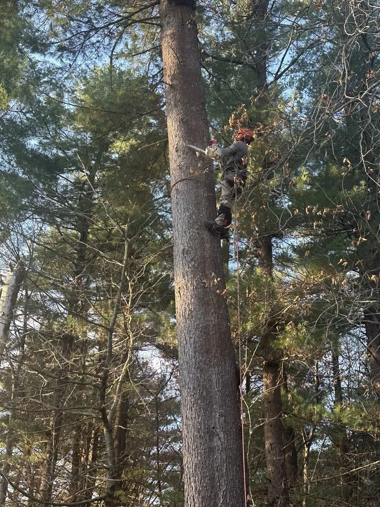 Custom residential landscaping in Lynn, MA by Rony's Landscaping