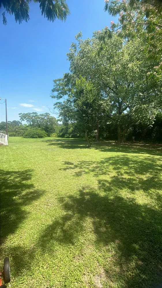 Professional residential landscaping for outdoor upgrades in Warsaw, NC by Rony’s Lawn