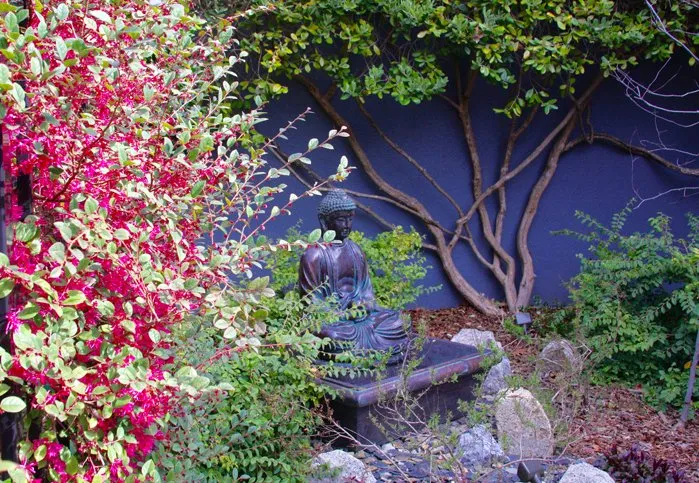 Top-rated lawn mowing service in Sacramento, CA - Roo Landscaping and Garden Care