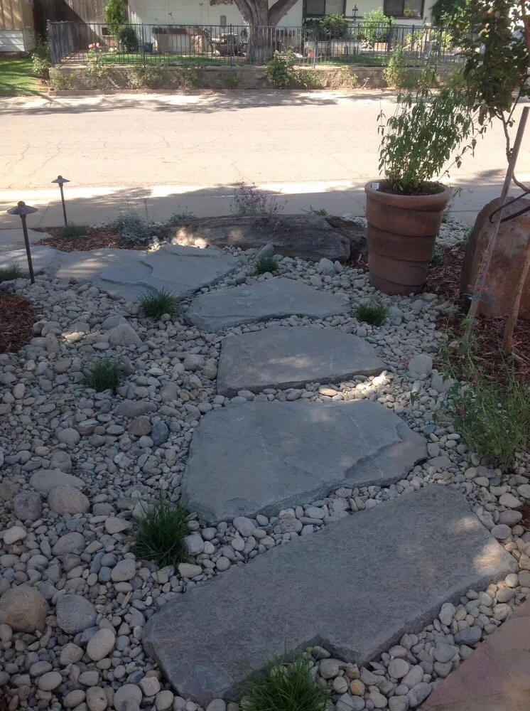 Top-rated yard cleanup service for year-round maintenance in Sacramento, CA by Roo Landscaping and Garden Care