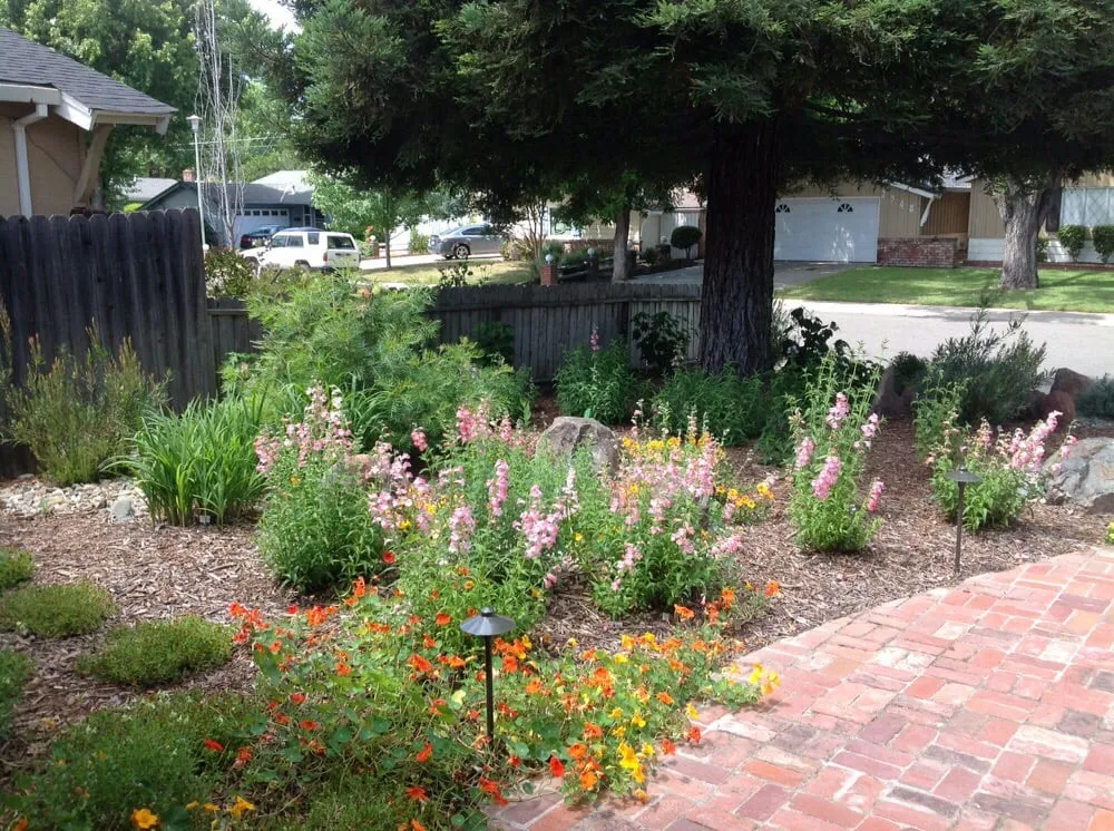 Affordable landscaping services near you in Sacramento, CA by Roo Landscaping and Garden Care