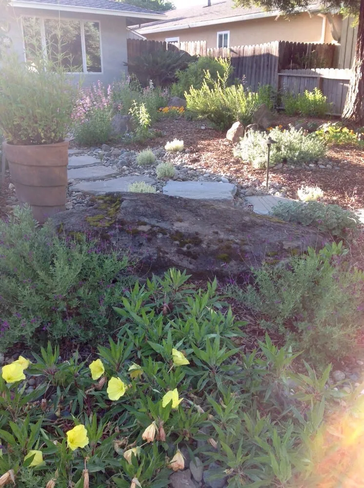Reliable yard maintenance near you in Sacramento, CA by Roo Landscaping and Garden Care