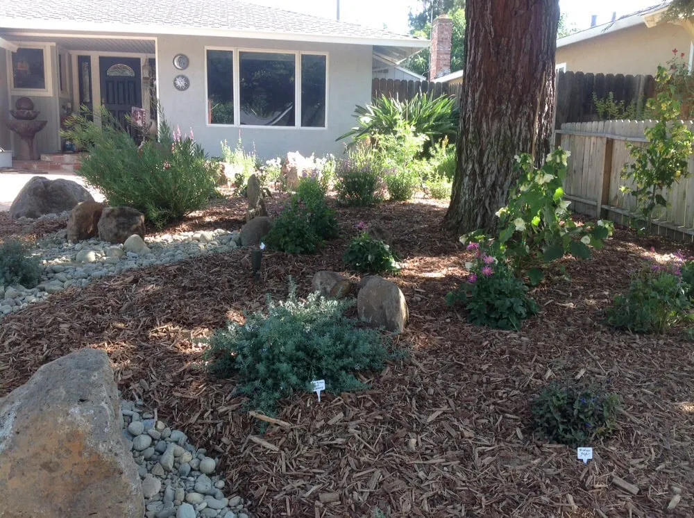 Professional yard cleanup service for beautiful yards across Sacramento, CA - Roo Landscaping and Garden Care