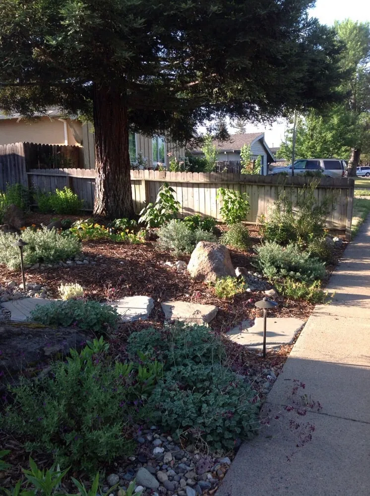 Top-rated lawn care service for beautiful yards across Sacramento, CA - Roo Landscaping and Garden Care