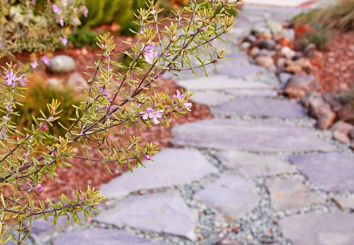Professional landscape installation in Sacramento, CA - Roo Landscaping and Garden Care